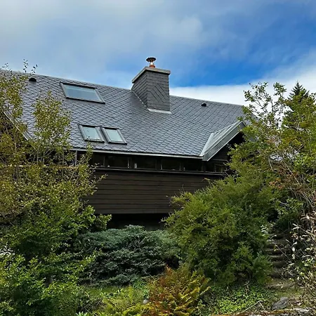 Le 36 Dore 6pers * Le Mont-Dore